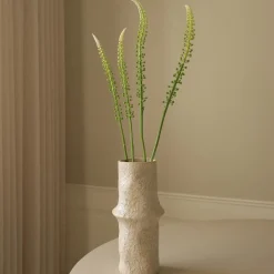 Botané Studios Actaea Racemosa 