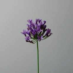 Botané Studios Agapanthus Flower Purple^ Kunstige Blomster