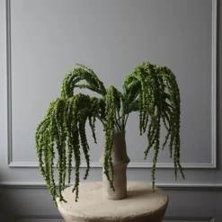 Botané Studios Amaranthus Flower Green^ Kunstige Blomster