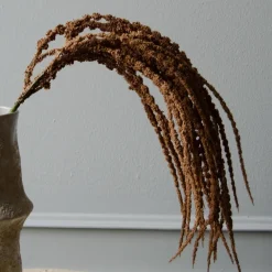 Botané Studios Amaranthus Caudatus 'Dreadlocks' Flower Light Brown^ Kunstige Blomster