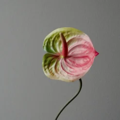Botané Studios Anthurium Flower Pink^ Kunstige Blomster