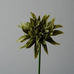 Botané Studios Cactus Dahlia Flower Green^ Kunstige Blomster