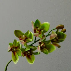 Botané Studios Cymbidium Orchid Flower Green^ Kunstige Blomster