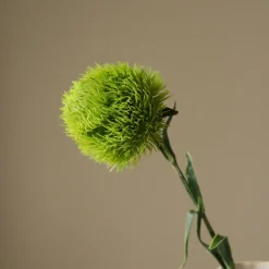 Botané Studios Dianthus Barbatus "Green Ball" Flower Green^ Kunstige Blomster