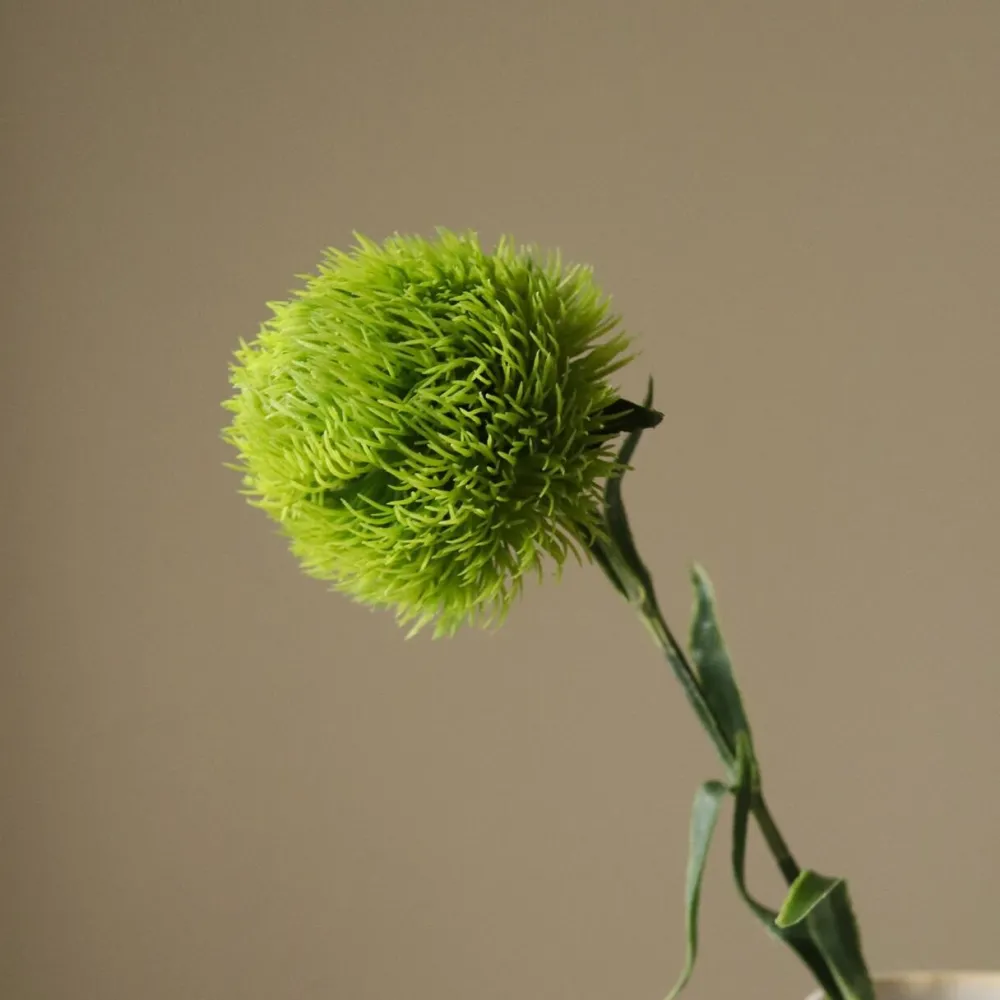 Botané Studios Dianthus Barbatus "Green Ball" Flower Green^ Kunstige Blomster