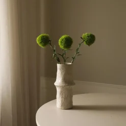 Botané Studios Dianthus Barbatus