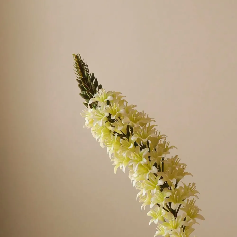 Botané Studios Eremurus Large Foxtail Lily Flower White^ Kunstige Blomster