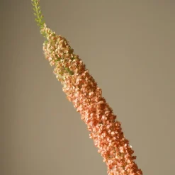 Botané Studios Eremurus Large Foxtail Lily Orange^ Kunstige Blomster