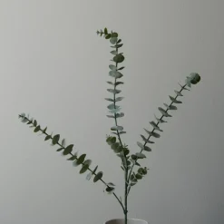 Botané Studios Eucalyptus Five Leave Green^ Kunstige Blomster