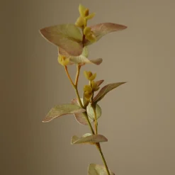Botané Studios Eucalyptus Leave White^ Kunstige Blomster
