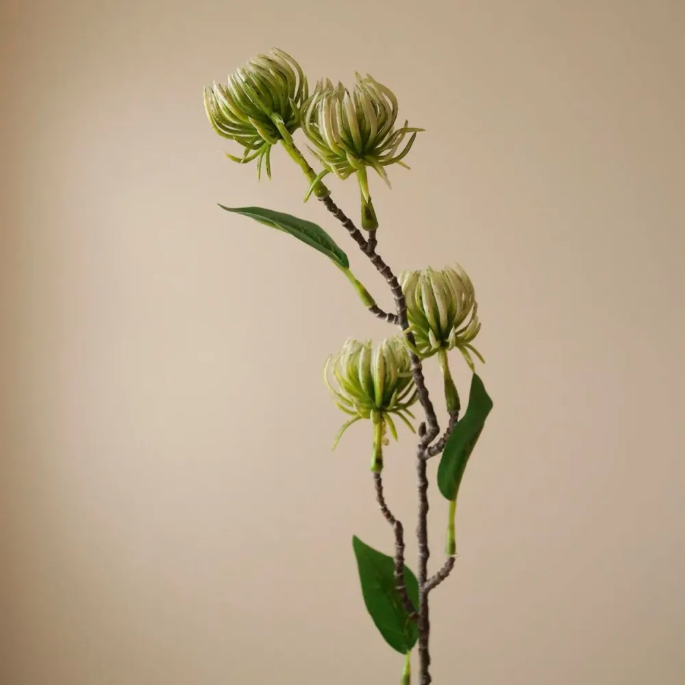 Botané Studios Hamamelis Branch Green^ Kunstige Blomster