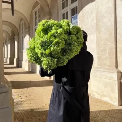 Botané Studios Hydrangea Flower Green^ Kunstige Blomster