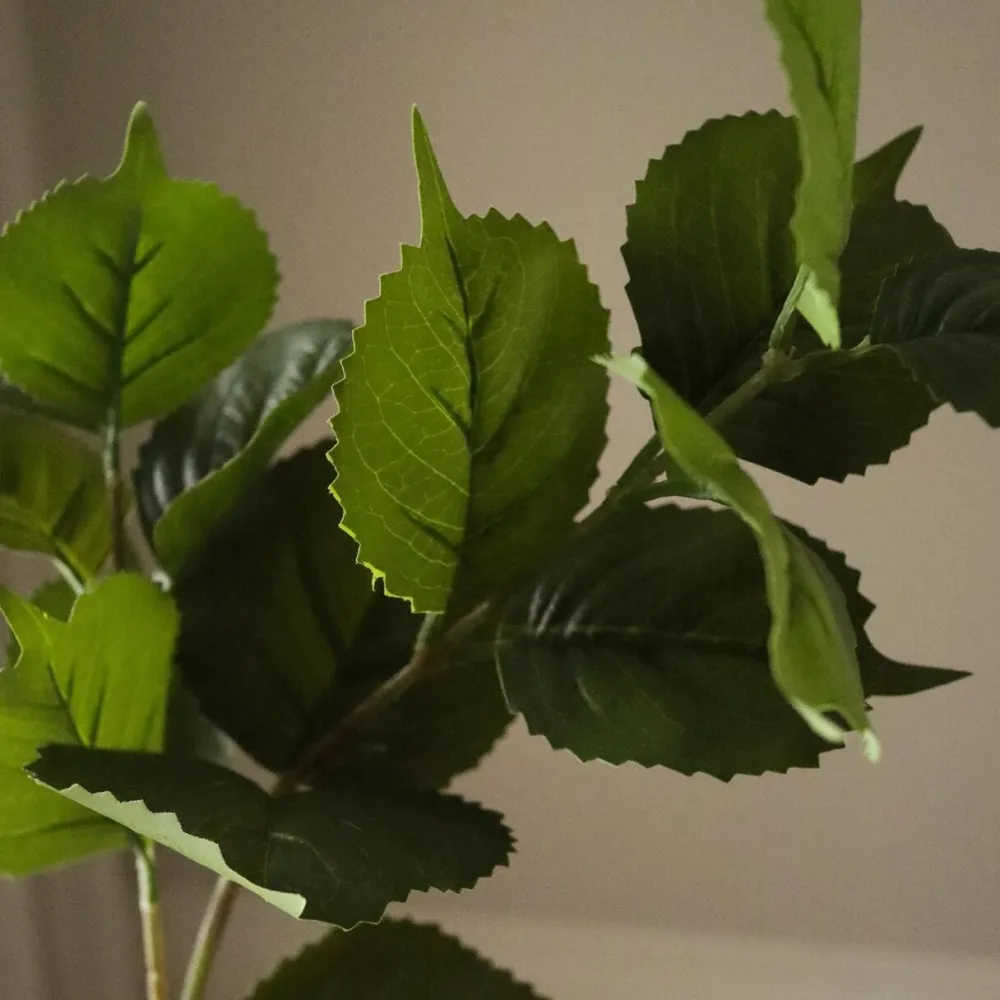 Botané Studios Hydrangea Leaves Green^ Kunstige Blomster