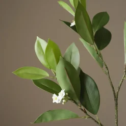 Botané Studios Jasmine Leave Green^ Kunstige Blomster
