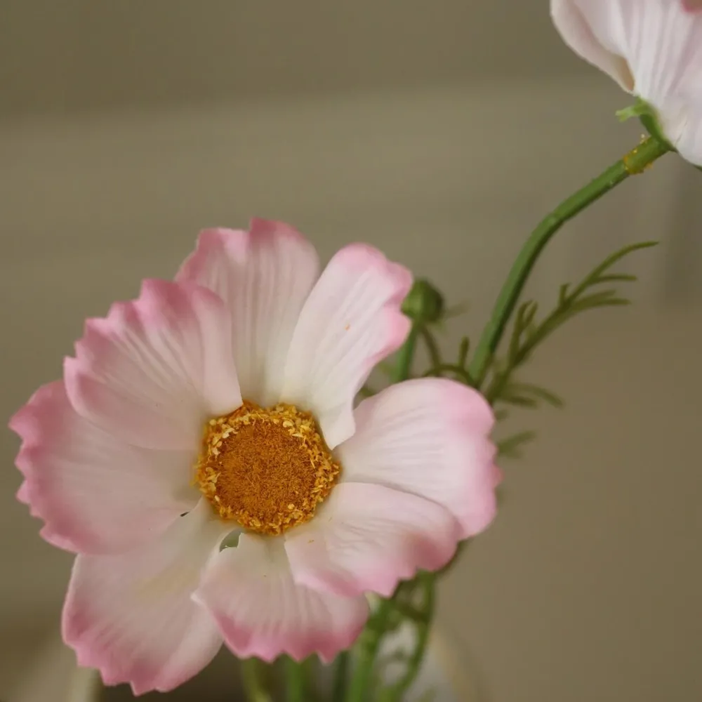 Botané Studios Large Cosmo Daisy Flower Light Pink^ Kunstige Blomster