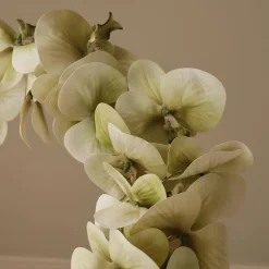 Botané Studios Majestic Orchid Flower Green^ Andet Boligtilbehør|Kunstige Blomster