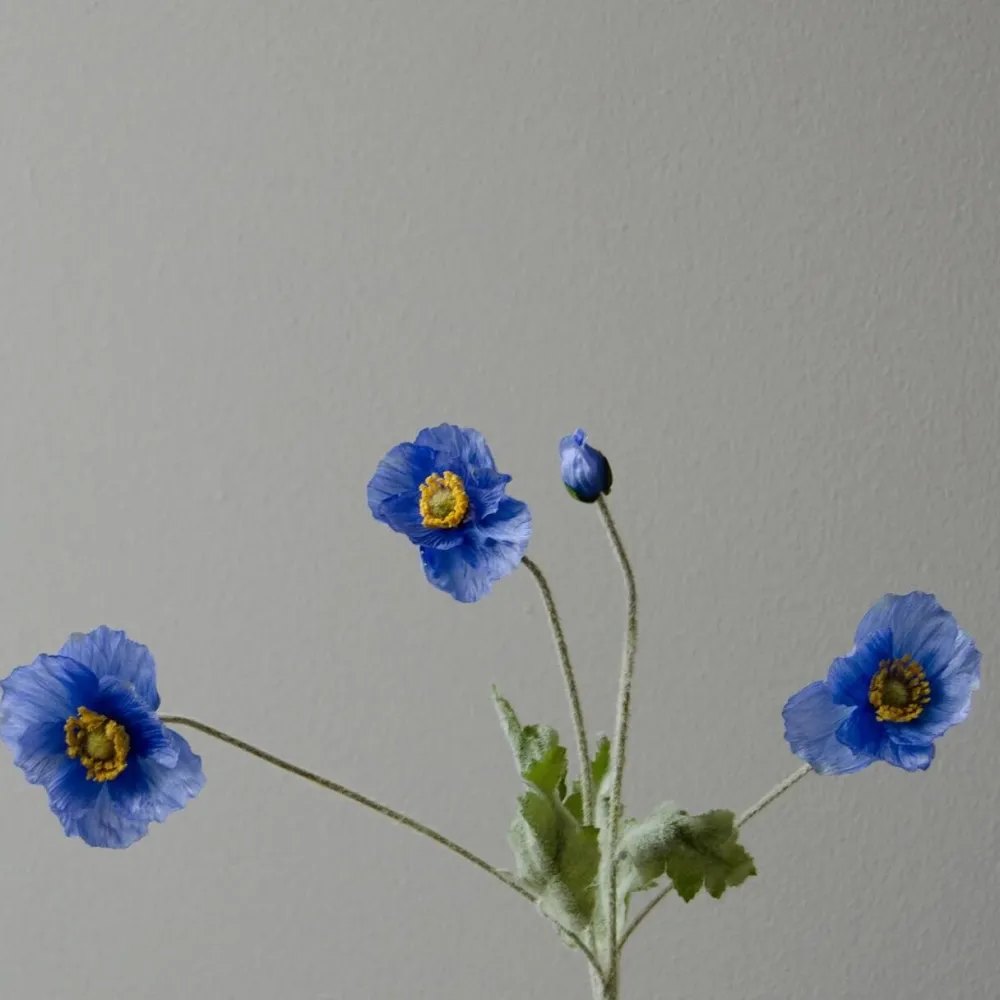 Botané Studios Poppy Flower Blue^ Kunstige Blomster