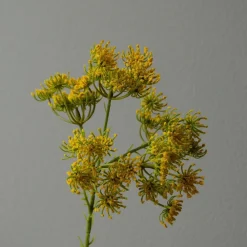 Botané Studios Queen Anne's Lace Flower Yellow^ Kunstige Blomster