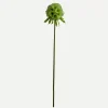 Botané Studios Scabiosa Seed Pod Flower Light Green^ Kunstige Blomster