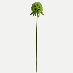 Botané Studios Scabiosa Seed Pod Flower Light Green^ Kunstige Blomster