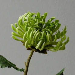 Botané Studios Semi-Cactus Flower Green^ Kunstige Blomster