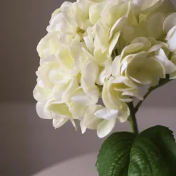 Botané Studios Short Hydrangea Flower Cream^ Kunstige Blomster