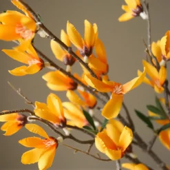Botané Studios Star Magnolia Branch Yellow^ Kunstige Blomster