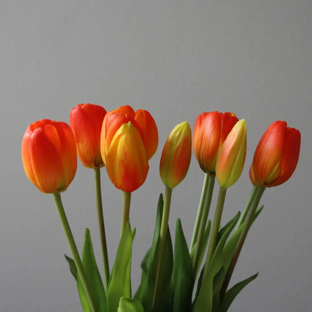 Botané Studios Tulip Bundle Orange (5 pieces)^ Kunstige Blomster