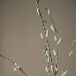 Botané Studios Willow Bud Branch Brown^ Kunstige Blomster