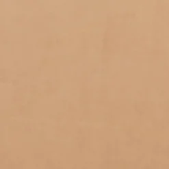 Fritz Hansen 3320 Svanen Natural Læder^ Stue|Stole