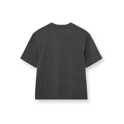 HEYANNO Trust Stable T-shirt Grey Melange^Dame Overdele