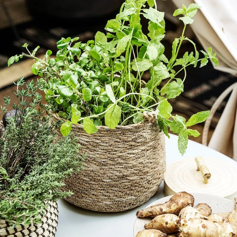 House Doctor Hang Basket Nature^ Kurve