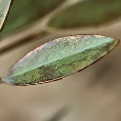 House Doctor Leaves Candle Stand Antique Green^ Lysestager