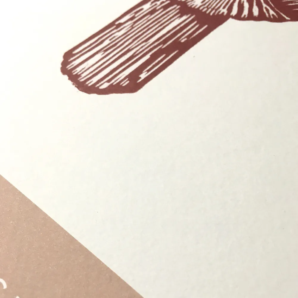 Monika Petersen Artichoke Poster Cherry Red^ Illustrationer & Plakater