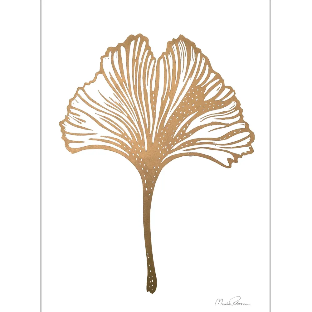 Monika Petersen Gingko A5^ Illustrationer & Plakater