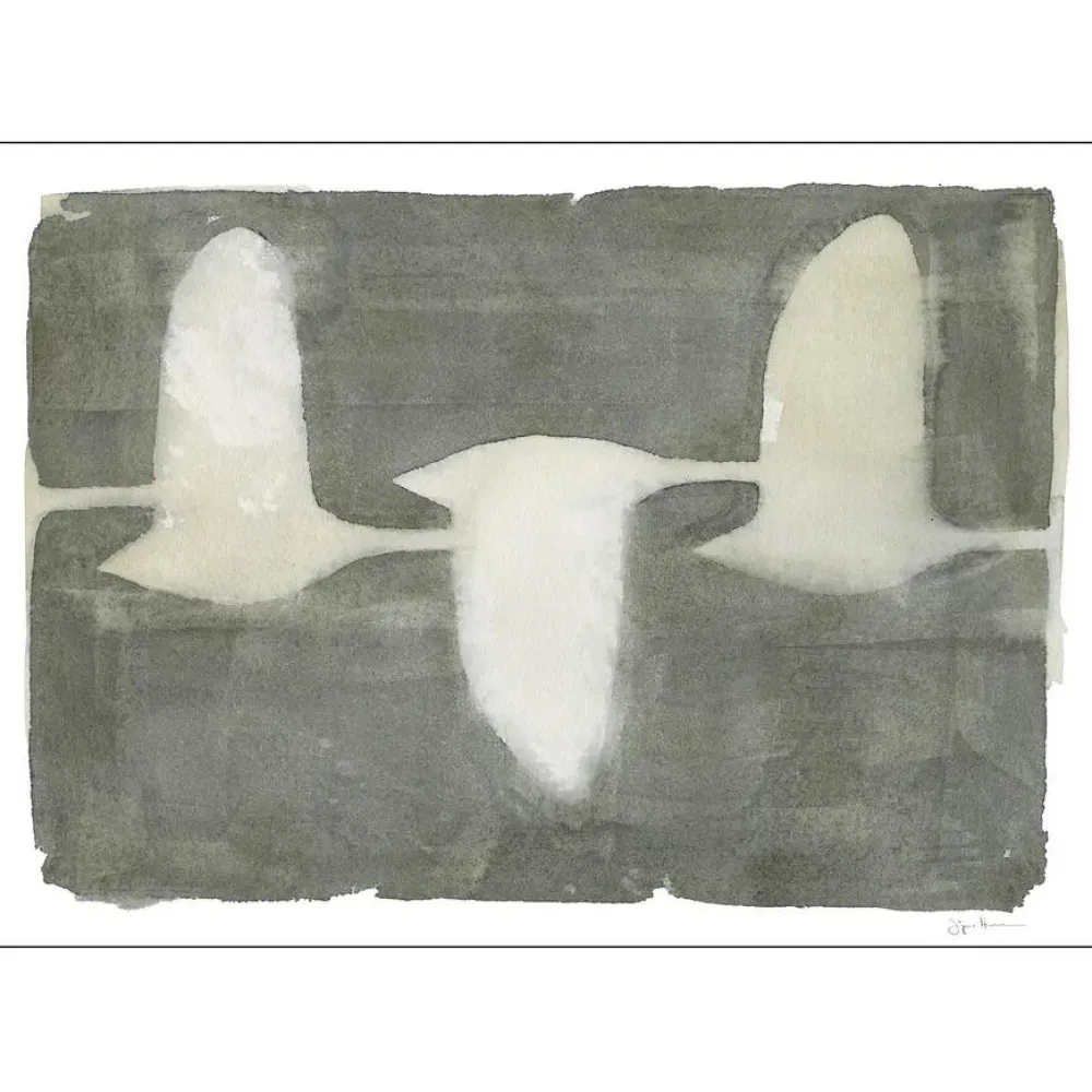 Poster & Frame Swans 30x40 cm^ Illustrationer & Plakater