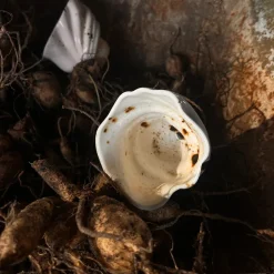 Studio Aarhus Svane Kop^ Keramik & Porcelæn