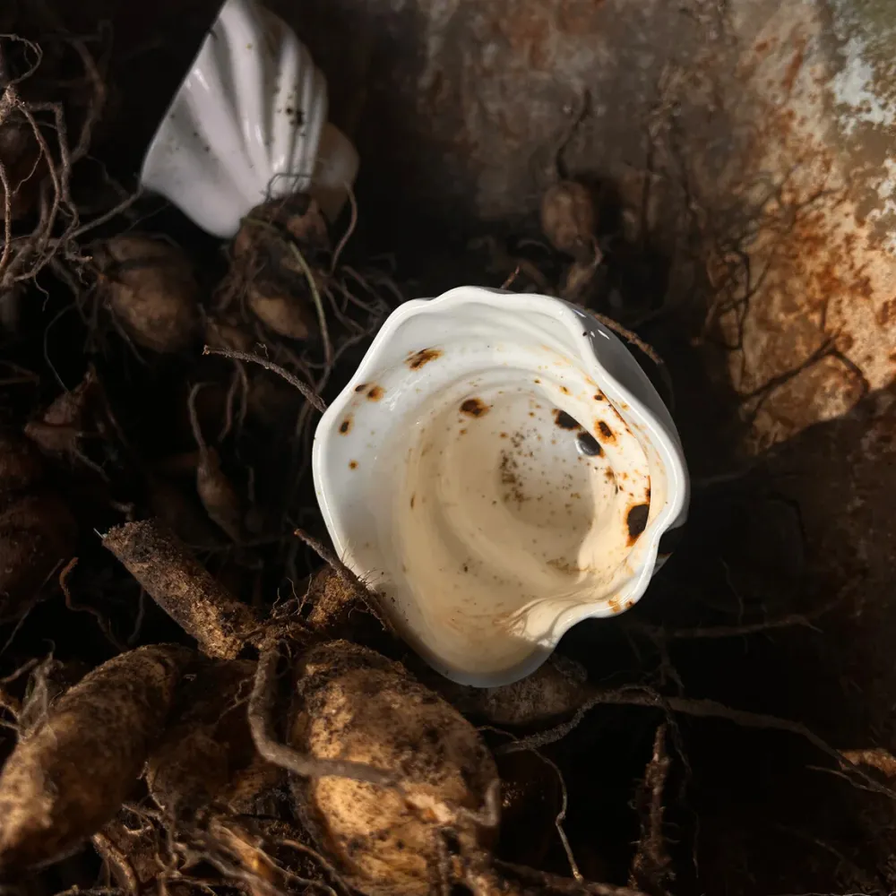 Studio Aarhus Svane Kop^ Keramik & Porcelæn