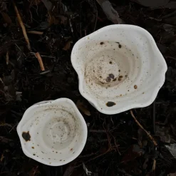 Studio Aarhus Svane Kop^ Keramik & Porcelæn