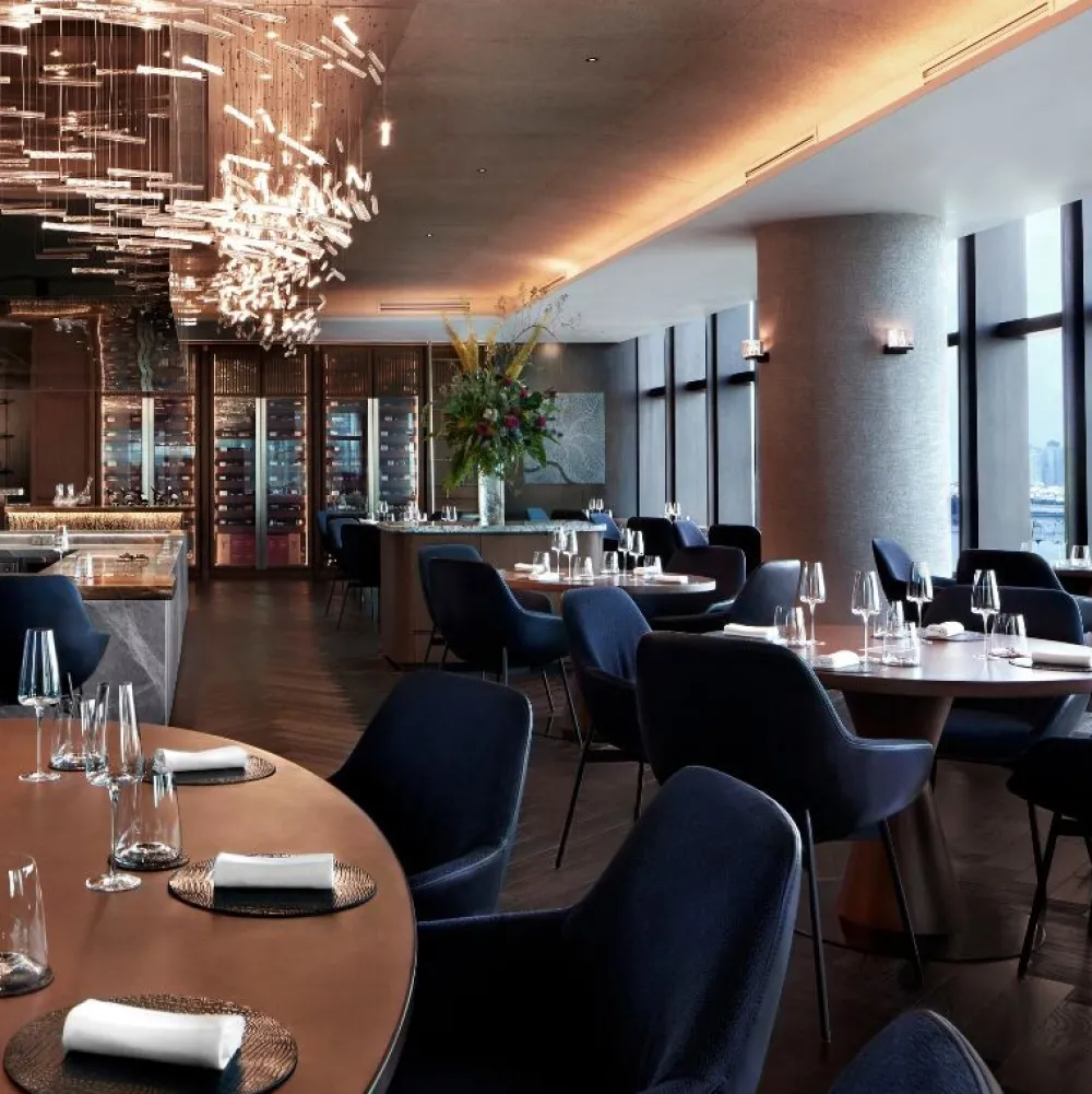 Wendelbo Sinum Spisebordsstol Med Armlæn Coast Col. 10^ Stole|Stue